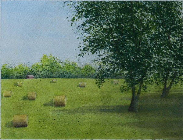 Country Scene with Hay Bales, Nebraska.jpg